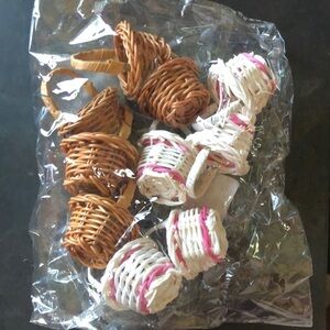 𝅺TEN (10) Mini Baskets